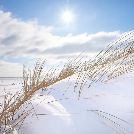 Roewers Privathotel & Hotel 5*